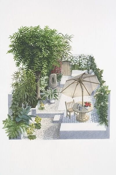 Illustration, patio garden with lush vegetation and climbers growing along the sides, round wooden table with umbrella in centre, elevated view