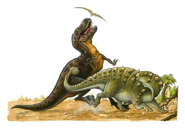 Illustration of Pterosaur flying above Tyrannosaurus Rex as it looks up with open mouth as Euoplocephalus hits body of the larger dinosaur with tail