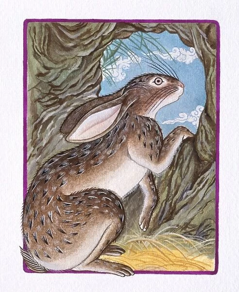 Illustration of Rabbit in the Burrow, representing Chinese Year Of The Rabbit