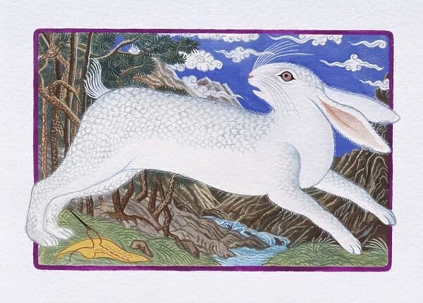 Illustration of Rabbit Running Out of the Forest, representing Chinese Year Of The Rabbit