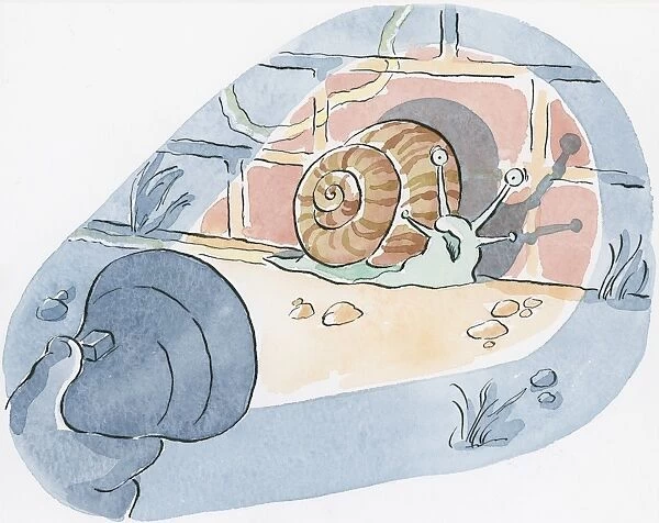 Illustration of snail against wall illuminated by torch