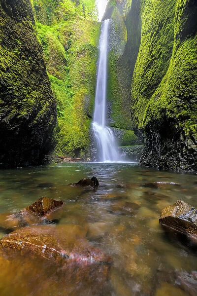 Oneonta Falls. Trek along Oneonta Gorge to Lower Oneonta Falls in the Columbia River Gorge