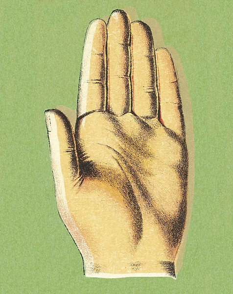 Palm of Hand