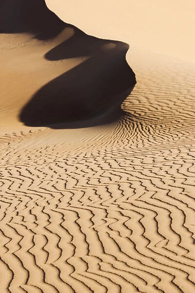 Patterns in sand, Sossusvlei, Namib-Naukluft National Park, Namib Desert, Namibia