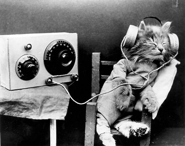 Radio Cat. January 1926: A cat wearing headphones to listen to a radio