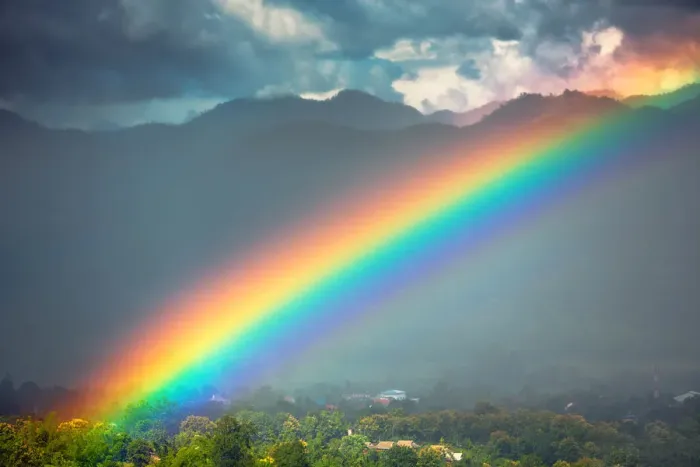 Framed Print : Tropical Rainbow Print - Heavy Rain Aftermath Framed Print : Tropical Rainbow Print - Heavy Rain Aftermath