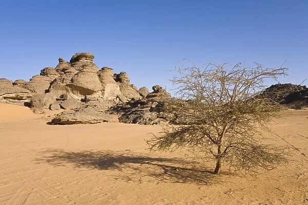Rock formations in the Libyan Desert, Acacia, Akakus Mountains, Libya, North Africa, Africa