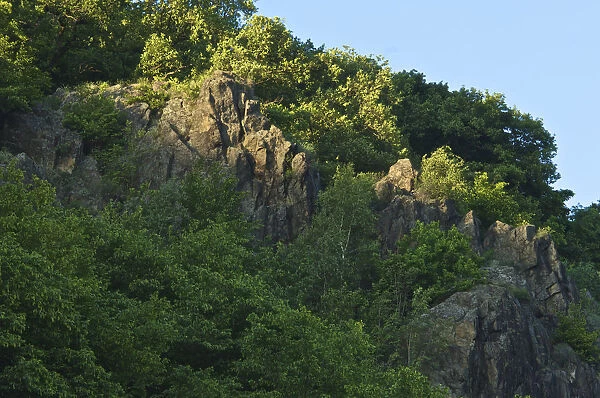 Rocks at the Urfahrwaend in Linz, Upper Austria, Austria, Europe