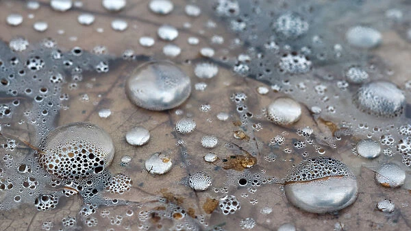 silvery droplets