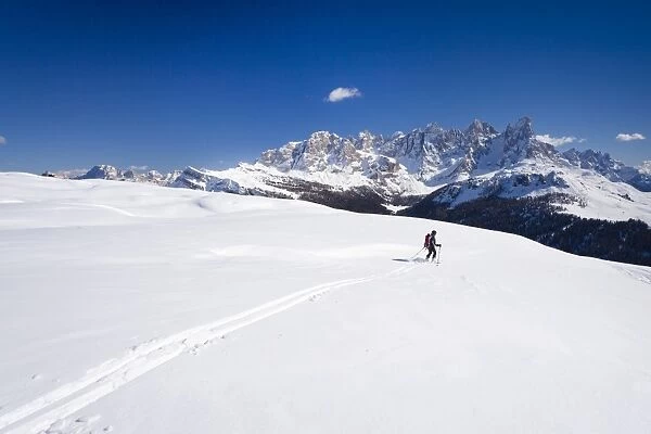 Ski tourer descending Mt Cima Bocche, above Passo Valles, Pala group in the back, Dolomites, Trentino, Italy, Europe