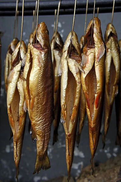 Smoked trout hanging from hooks in a smokehouse, Fuschl