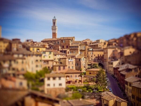 Siena. Tilt-shift photo of historic centre of Siena 