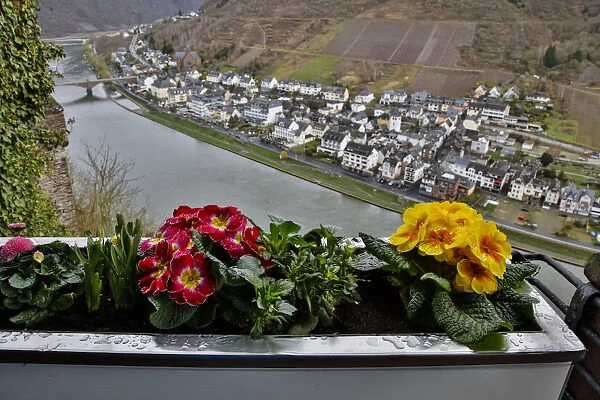 View from Reichsburg Castle to Moselle River and town, Cochem, Rhineland-Palatinate, Germany