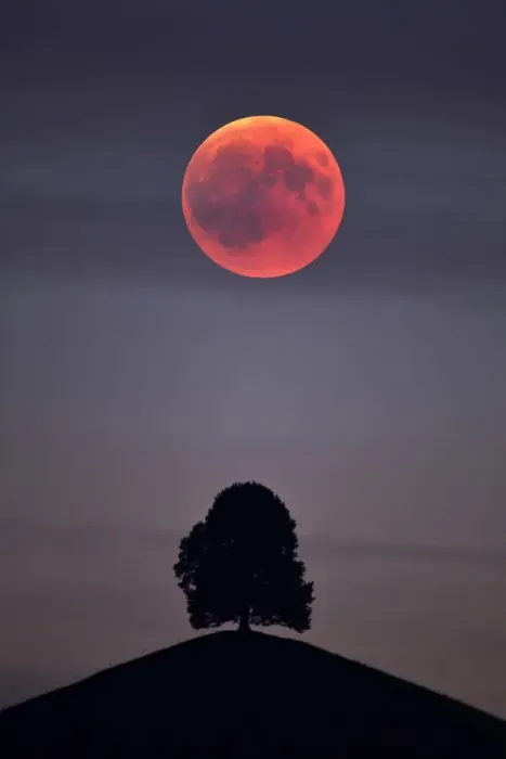 Framed Print : Bloodmoon Lunar Eclipse Print