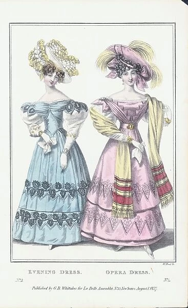 Women Wearing Evening and Opera Dress