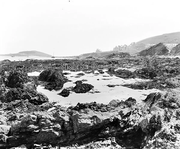 Looe Island or St Georges Island, Looe, Cornwall. June 1904