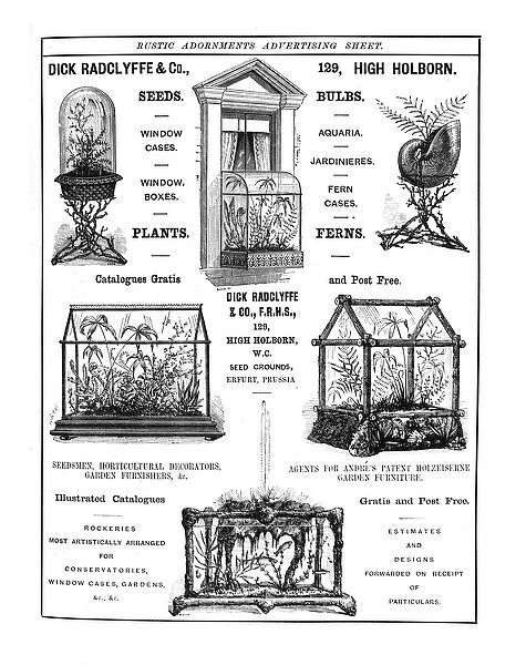 Advertisement for Dick Radclyffe & Co. Rustic Adornments (engraving) (b  /  w photo