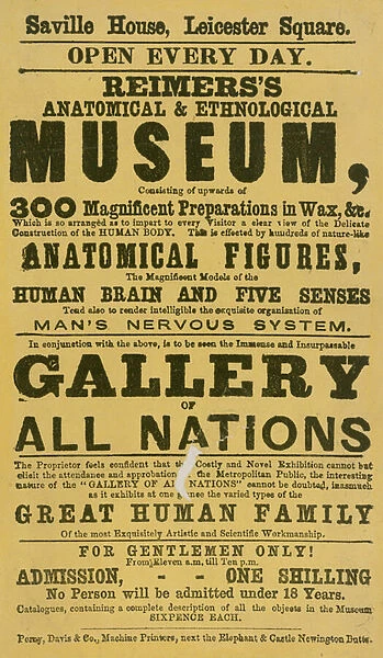 Advert for Reimerss Anatomical and Ethnological Museum (engraving)