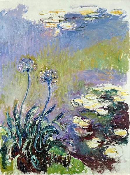 The Agapanthus, 1914-17 (oil on canvas)