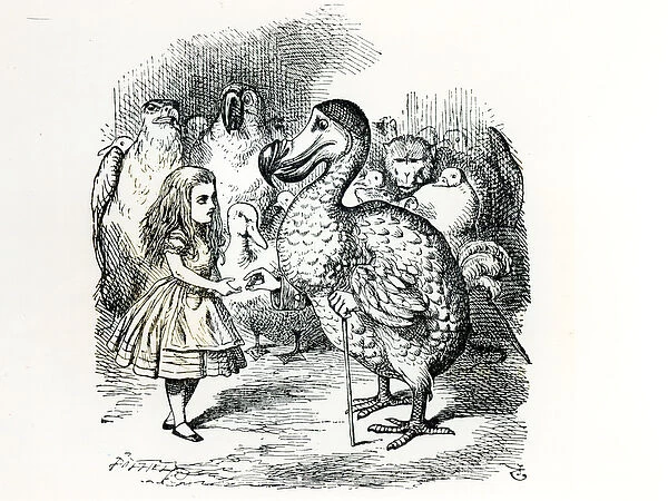Alice meets the Dodo, illustration from Alices Adventures in Wonderland