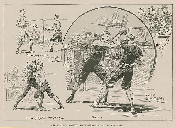 The amatuer boxing championships (engraving)