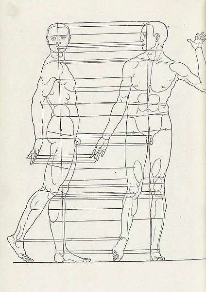 Anatomical illustration