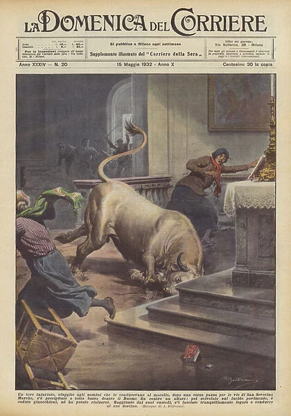 An angry bull, escaped the men who led him to the slaughterhouse, after a crazy race for... (colour litho)