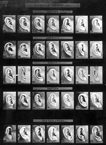 Anthropometric classification and identification of the Bertillon system