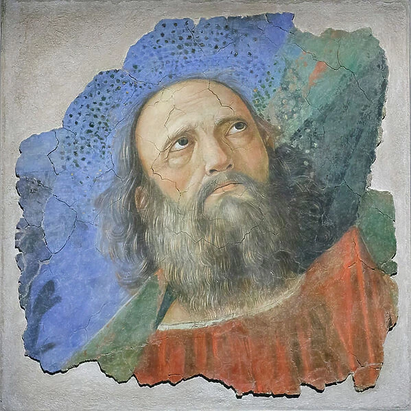 Apostole's head, c. 1480 (fresco)