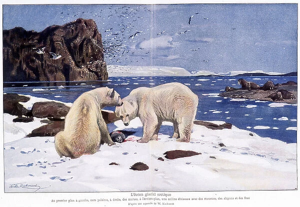 Arctic ice ocean with two polar bears, walruses and birds (gulls, alkyons and fools)
