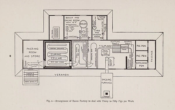 Arrangement of bacon factory to deal with thirty to fifty pigs per week (litho)