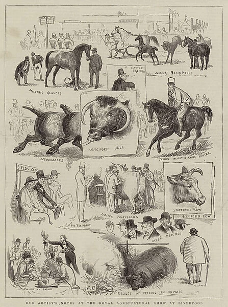 Our Artists Notes at the Royal Agricultural Show at Liverpool (engraving)