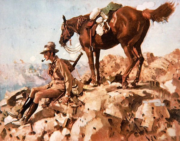 Australian Light Horseman, Allenbys Desert Campaign, 1914-18 (colour litho)