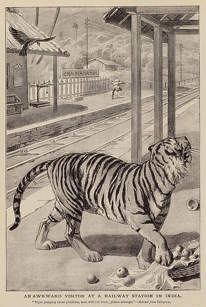 An awkward visitor at a railway station in India (engraving)