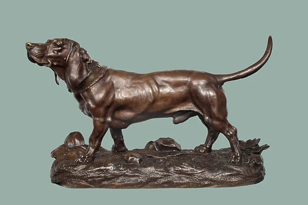 A Basset Hound (bronze with brown patina)