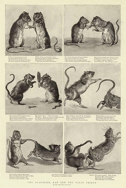 The Beautiful Rat and the False Friend (engraving)