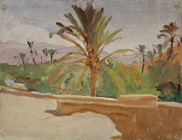 Biskra (Oasis with Palm Trees), 1909 (oil on canvas)