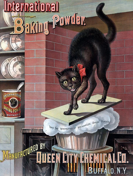 Black Cat Awakened by Rising Bread Dough, c. 1885 (chromolithograph)