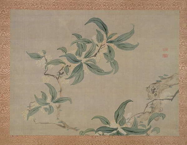 Blossom, 1851 (watercolour on silk)