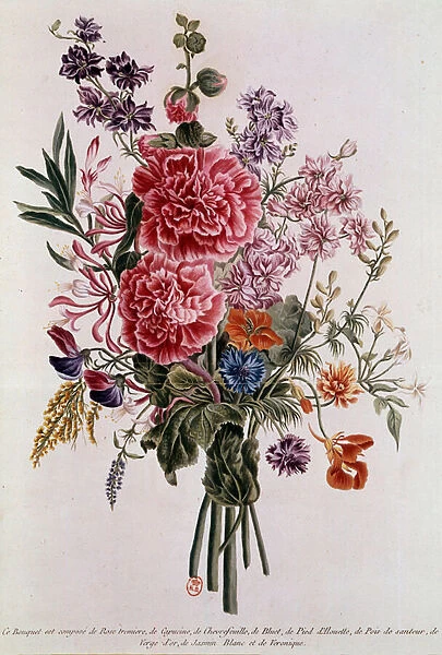 Bouquet composed with roses Lithography by Pierre Joseph Buchoz (1731-1807