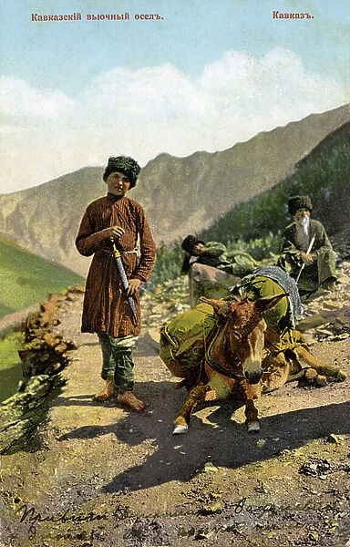 Boy with donkey in Caucasus
