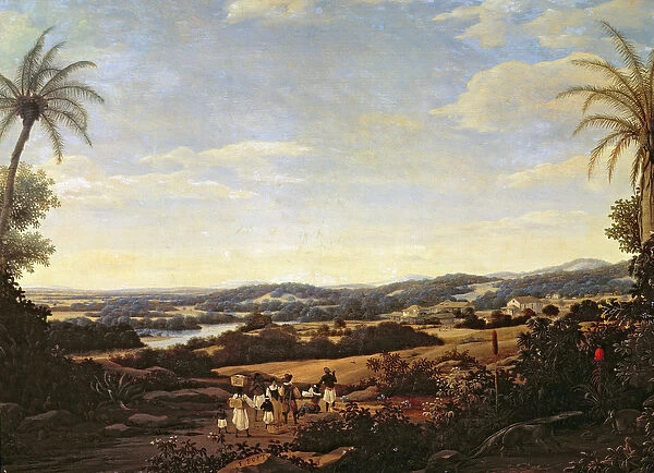Brazilian Landscape with a Plantation (oil on canvas)
