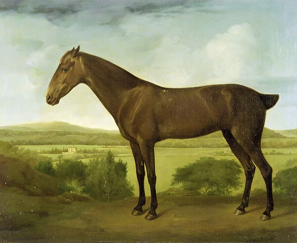 Brown Horse in a Hilly Landscape, c. 1780-1800 (oil on canvas)