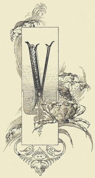 Capital letter V decorated with plant and crustacean motifs. 1880 (Illustration)