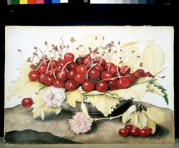Cherries and eyelets
