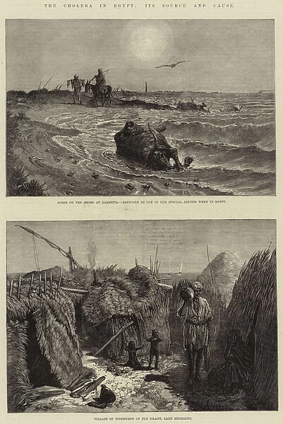 The Cholera in Egypt, Its Source and Cause (engraving)