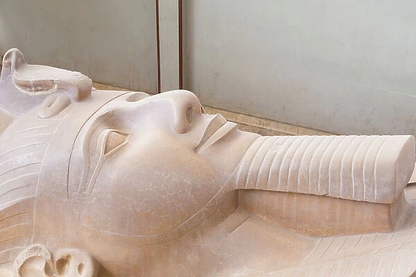 Detail of the colossal sculpture of Ramesses II, detail