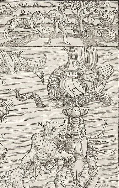 Cosmographia, Fol 853, 1544 (engraving)