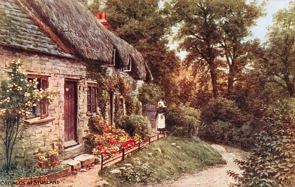 Cottages at Studland (colour litho)