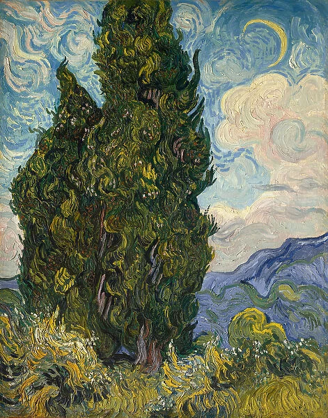 Cypresses, 1889 (oil on canvas)